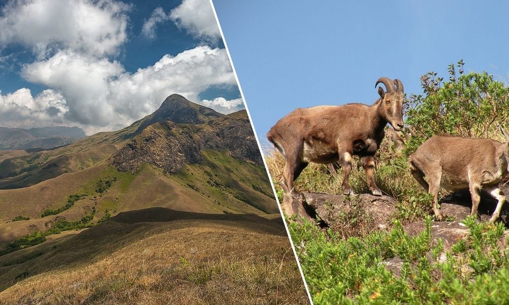 South India Heritage Tour