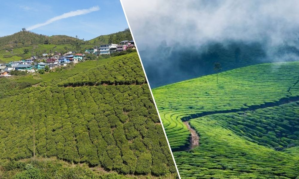 Munnar Hill Station Tours