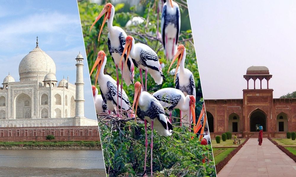 Golden Triangle Tour with Bharatpur Bird Sanctuary