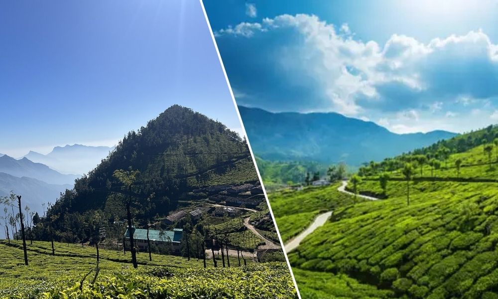 Munnar Hillstation Tour