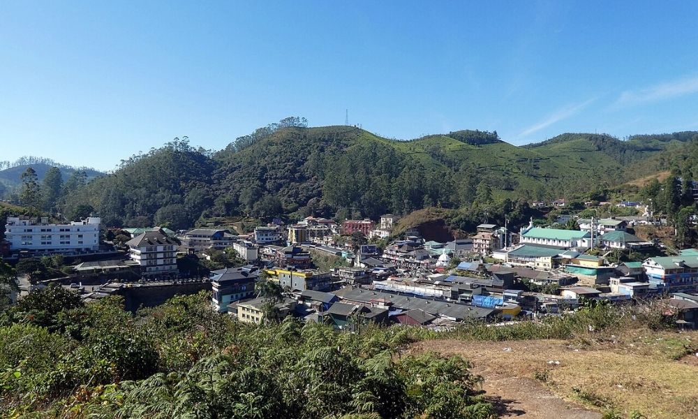 Munnar Honeymoon Package