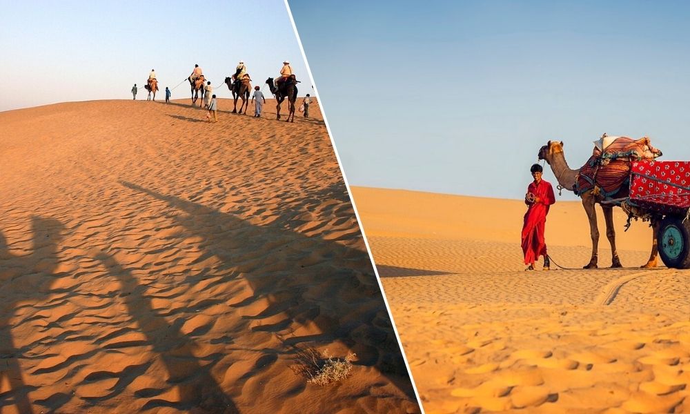 Rajasthan Camel Safari Tour