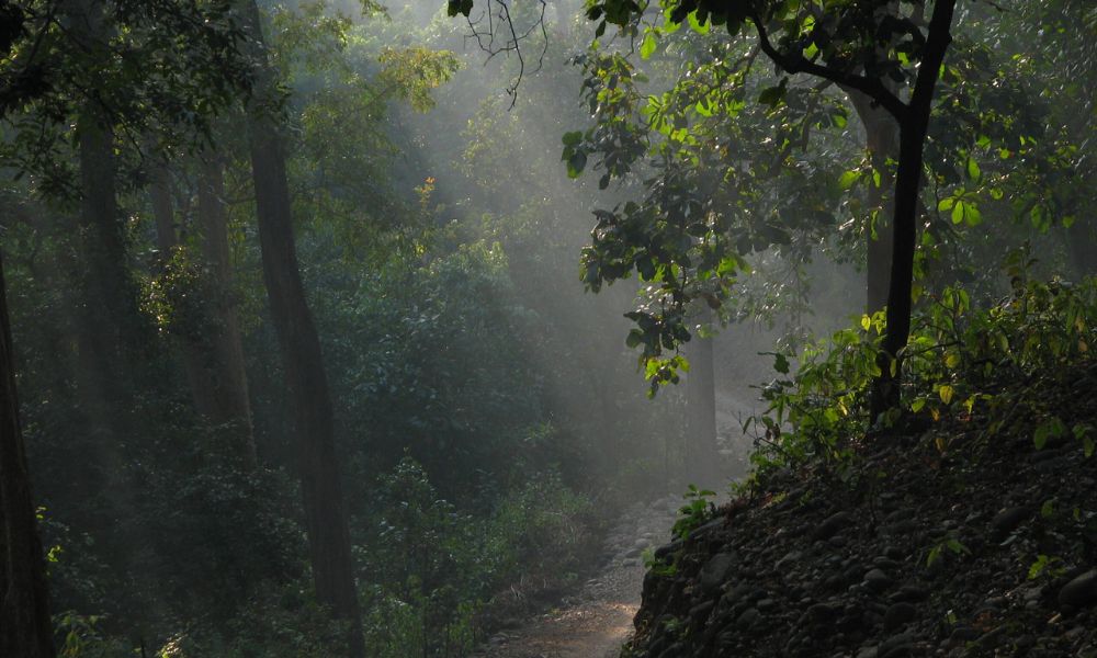 Corbett Nainital Tour