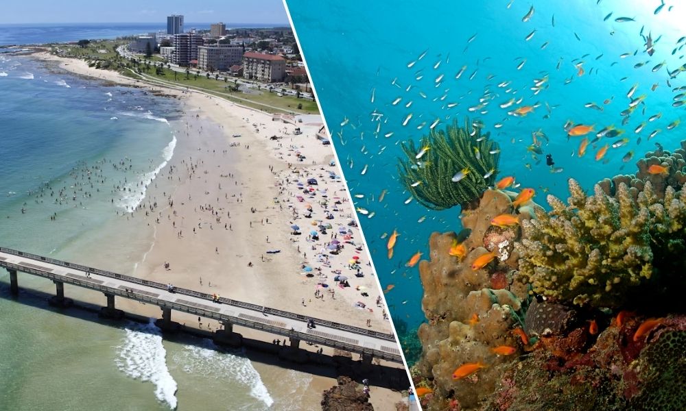 Port Blair Honeymoon Package