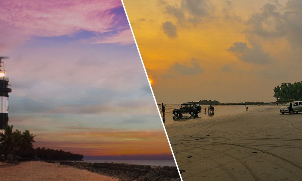 Kerala Wildlife and Beach Tour