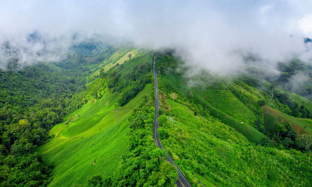 Banglore Mysore Ooty and Kodaikanal