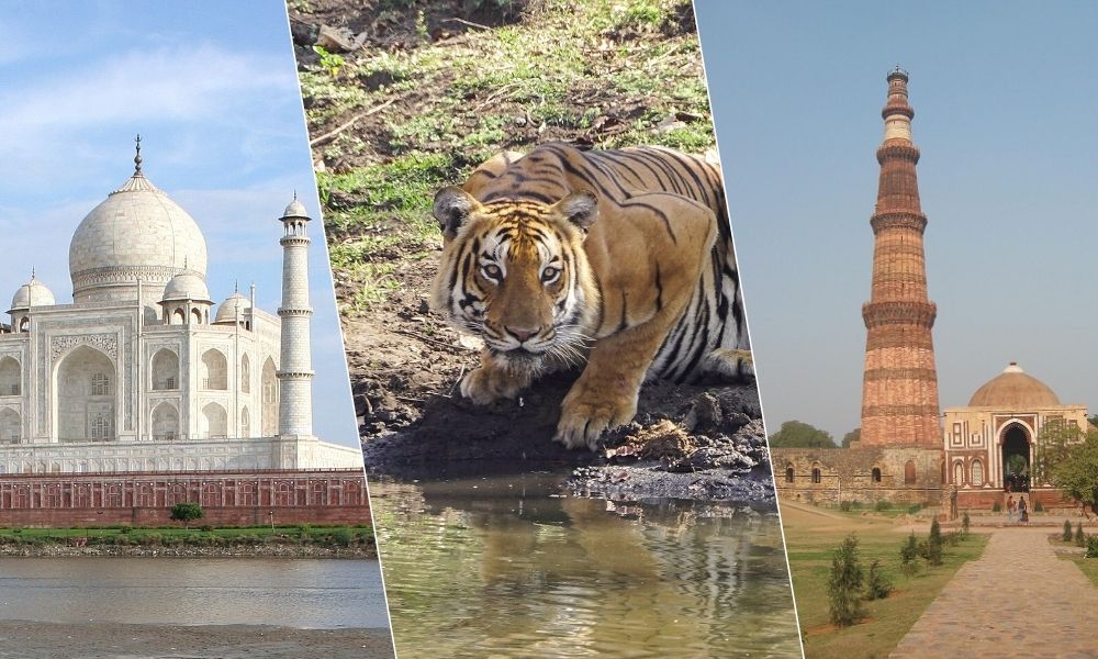 Golden Triangle Tour with Wildlife