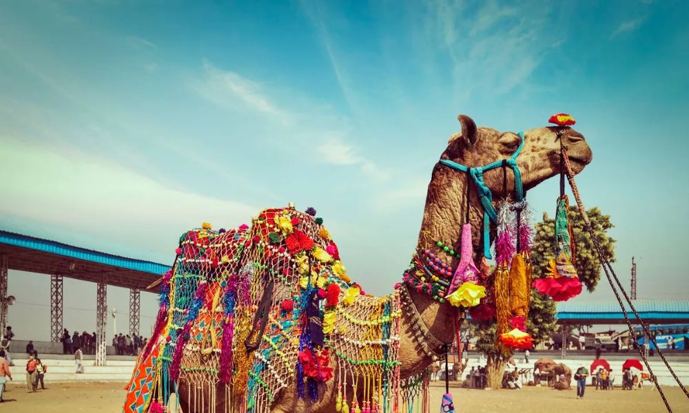 Colorful Rajasthan Tour