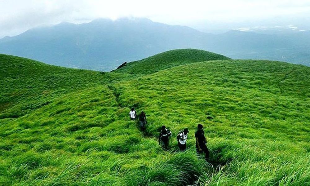 Coorg Wayanad Tour Package