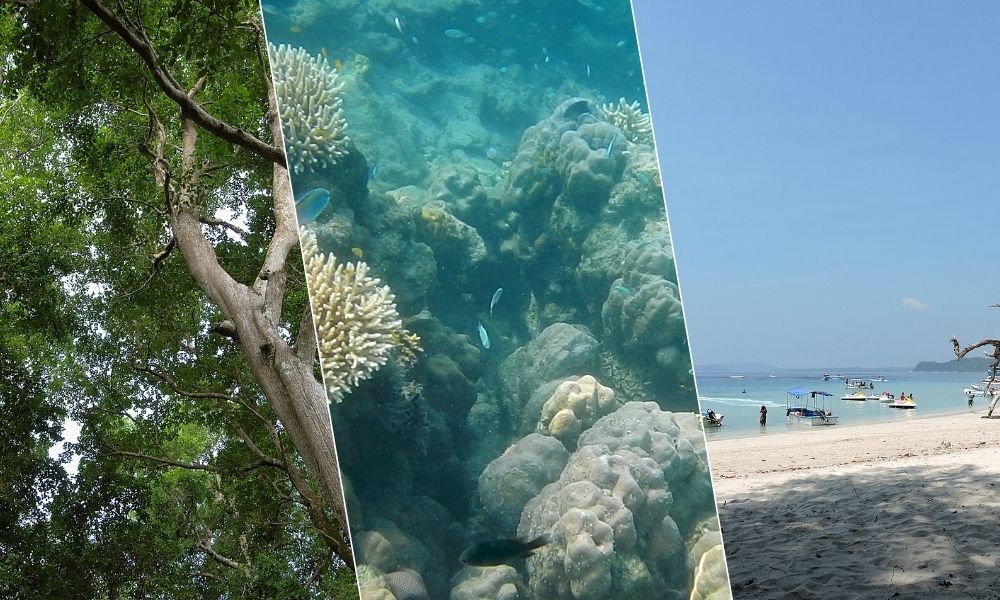 Havelock Honeymoon Package