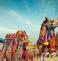 Colorful Rajasthan Tour
