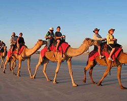 Roverholidays: Rajasthan Camel Safari Tour