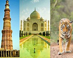 Roverholidays: Golden Triangle Tour with Wildlife