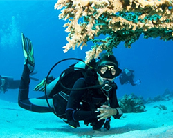 Roverholidays: Andaman Tour package from Hyderabad